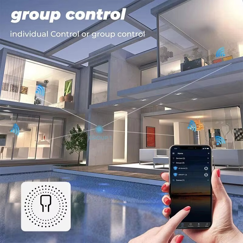 Tuya Mini 16A WiFi Switch Smar - Home Automation Ideas recensie en prijs
